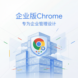 谷歌浏览器下载 - Chrome浏览器下载权限门面